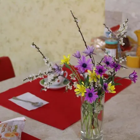 Open Space Da Luca E Laura,a 7 Minuti Da Alghero. Olmedo